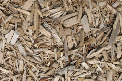 biomass boilers Horningsea
